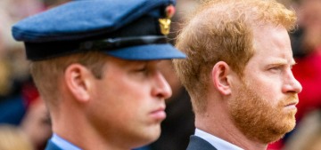 Nicholl: Prince William ‘simply can’t forgive’ Harry for refusing to be his wingman