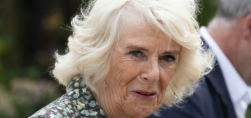Queen Camilla’s Indian wellness center costs £735 a night, where’s the outrage?