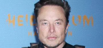 Elon Musk ‘doesn’t know what he’s doing’ with Twitter & people are ‘alarmed’