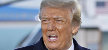 Donald Trump is ‘livid, fuming, screaming’ about the GOP’s midterm collapse
