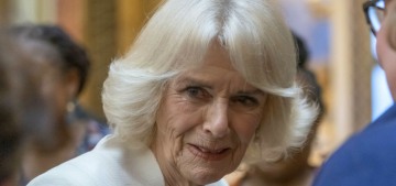 Queen Camilla’s office lied, they didn’t actually contact or apologize to Ngozi Fulani