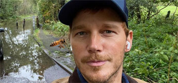 Chris Pratt got stung in the eye after copying a TikTok beekeeper