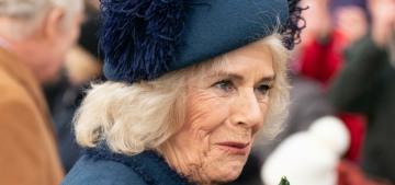 Queen Camilla’s friends: That old boozehound never schemed to be queen