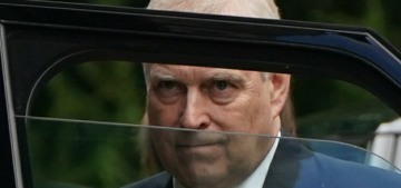 Prince Andrew will hit Virginia Giuffre with ‘a $100 million defamation lawsuit’
