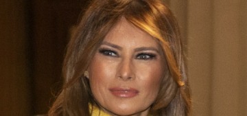 Melania Trump ‘lives separately’ from Donald Trump & dgaf if he’s arrested