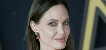 Angelina Jolie’s lunch date with David Mayer de Rothschild was just ‘business’