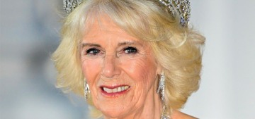 Queen Camilla wore Bruce Oldfield & the Greville tiara at the German state dinner