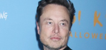 Why did Elon Musk really change the Twitter bird icon to the ‘doge’ meme?