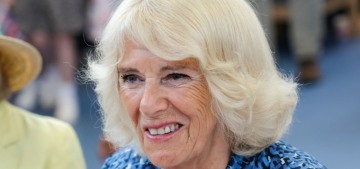 Queen Camilla has ‘a strong sense of family,’ Harry was never ‘a huge drama for her’