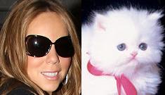 Mariah Carey’s request for 20 snow white kittens at mall appearance denied