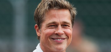 Brad Pitt accused of acting like a ‘petulant child’ as he ‘looted’ Chateau Miraval