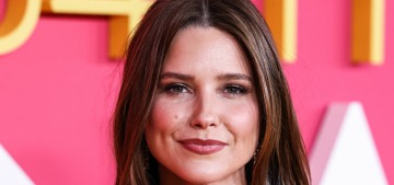 Sophia Bush filed for divorce from Grant Hughes, 13 months after their wedding