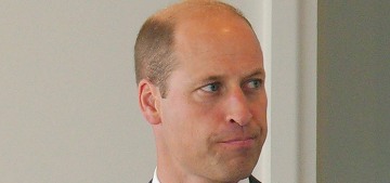 Prince William ‘had a meeting at the UN,’ if you mean across from the UN building