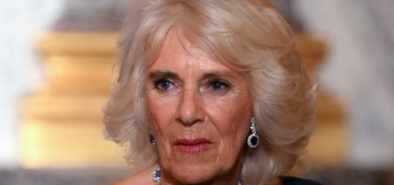 Queen Camilla wore Dior & sapphires to the state dinner at Versailles