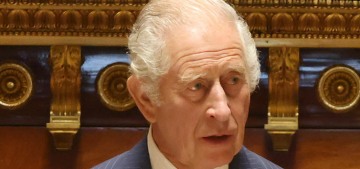 King Charles addressed the French Senate in French, spoke about the environment