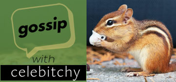 Gossip with Celebitchy podcast #159: why haven’t chipmunks been domesticated?