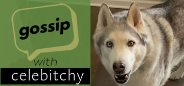 ‘Gossip with Celebitchy’ podcast #161: animal videos we watch on YouTube