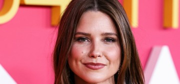 Sophia Bush & Ashlyn Harris are now dating after their respective marriages fell apart
