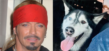Bret Michaels adopts hero husky dog named after him