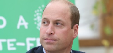Prince William will fly commercial to Singapore for Earthshot, as will everyone else