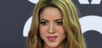 Shakira struck a last-minute plea deal in her years-long tax fraud case