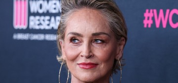 Sharon Stone: ‘It’s very expensive to be famous, you get the $3K dinner check every time’