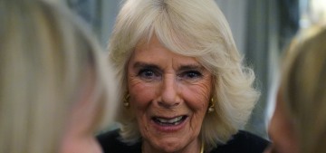 Queen Camilla: ‘Catherine is thrilled by all the kind wishes and support’