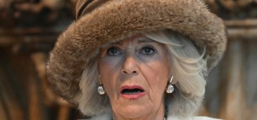 DM: ‘Leading lady’ Queen Camilla is ‘absolutely out there leading from the front’