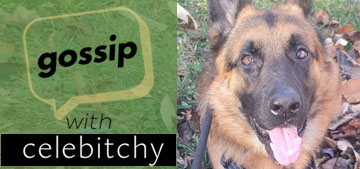 ‘Gossip with Celebitchy’ podcast #172: tiny vs. big dogs