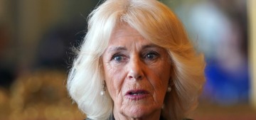 Queen Camilla was back to work on Tuesday, hosting a discussion on domestic abuse
