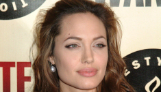 Brangelina tell-all: nannies, nose jobs, and no more Ralph Fiennes