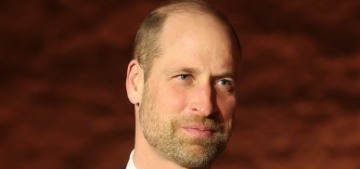 Prince William’s Earthshot might be investigated by the UK Charity Commission