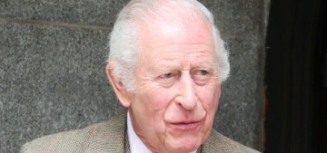 Jobson: After Prince Andrew’s arrest, King Charles’ US trip will be a disaster