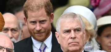 Prince Harry ‘has long felt frustrated by comparisons’ to Prince Andrew
