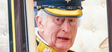 Times: Abolish the concept of ‘the royal family’ & just have the monarch & heir