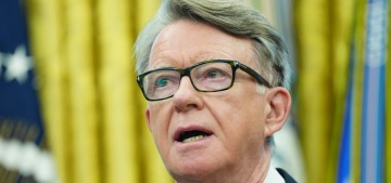 British politico Peter Mandelson was arrested over his Jeffrey Epstein connections