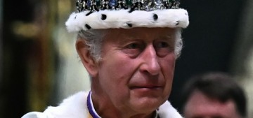 Shuter: King Charles will abdicate ‘on his terms’ within the next 12 months