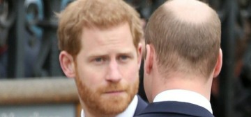 Prince Harry’s brother & father were furious that Harry tried to protect Meghan