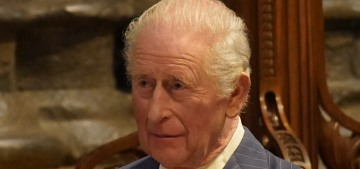 Ex-Prince Andrew’s arrest & the republican protests have ‘rocked’ the monarchy