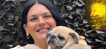 Dogs are getting ‘bark mitzvah’ birthday parties at 13