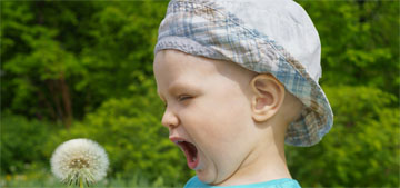 How to protect yourself during allergy season and high pollen counts