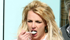 “Britney & her busted weave enjoy some fro-yo, bitches” links