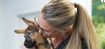 Jason and Kylie Kelce can’t agree on the name for their German Shepherd puppy