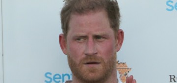 Sentebale is suing Prince Harry & Mark Dyer for defamation