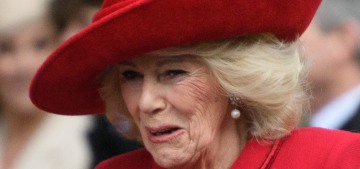 Queen Camilla will not meet Jeffrey Epstein’s victims during the US state visit