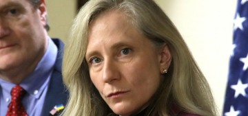 Virginia voters passed a redistricting plan with gerrymandered Democratic seats