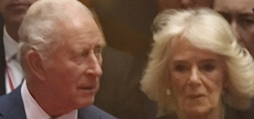 King Charles & Camilla were mostly met with empty barricades in New York