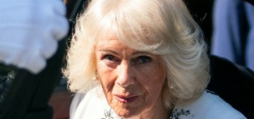Platell: Queen Camilla ‘will never be a queen to me, only a marriage-wrecker’