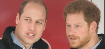 Andersen: Prince William & Harry’s relationship was damaged long before Meghan