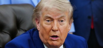 Trump administration: 1 in 3 Americans is ‘underbabied’, we need ‘Trump babies’